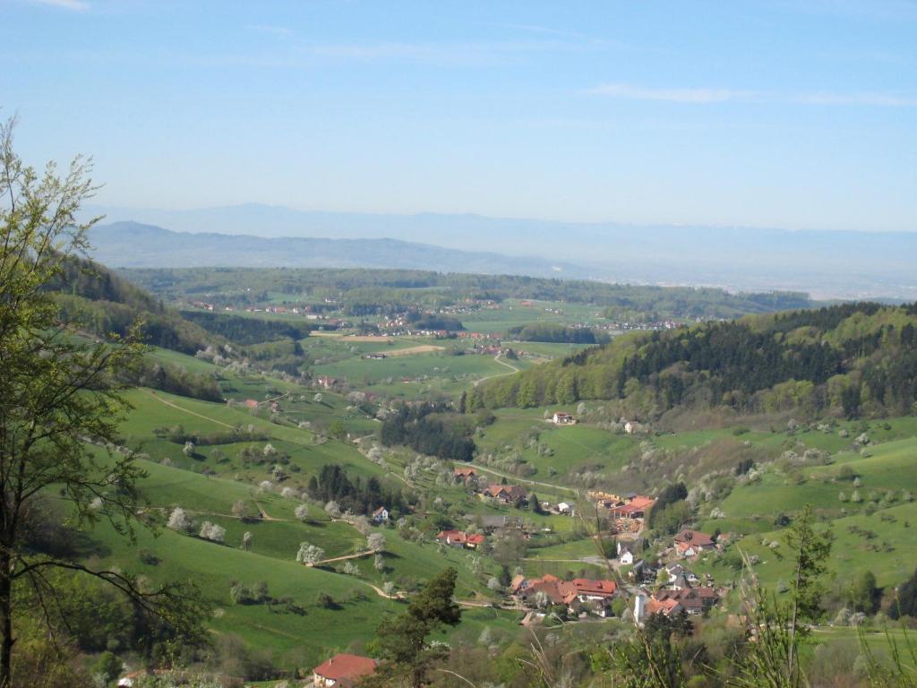 Wellnesshotel Ludinmuehle Freiamt Luaran gambar